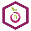 Namefruits